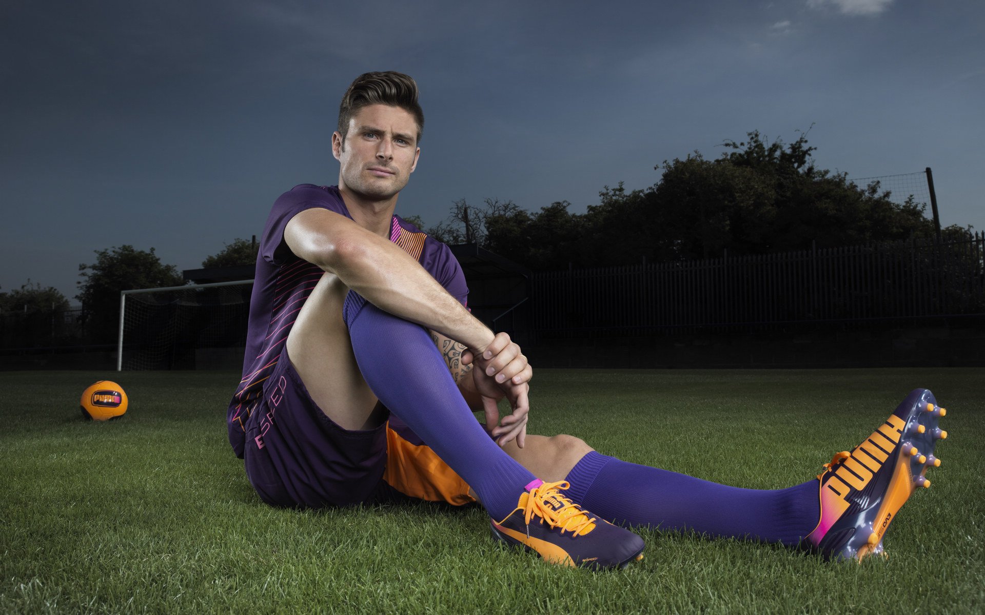 WRC赛事志:车手、团队与粉丝的故事,wrc参赛车队2020